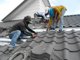 Best Roof Maintenance and Cleaning  in Oswego, IL